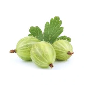 Angrešt