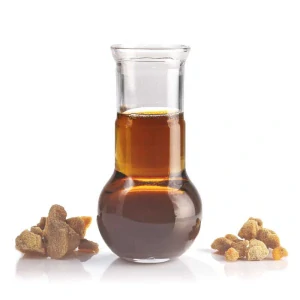 Benzoe (Styrax benzoin)